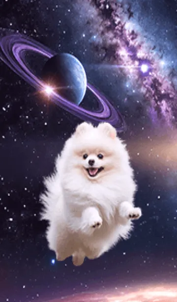 [LINE着せ替え] 【 宇宙犬 】癒しポメラニアンの画像1