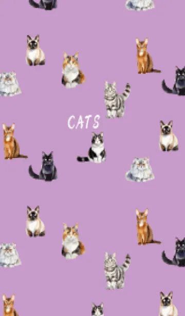 [LINE着せ替え] light purple 猫の世界の画像1