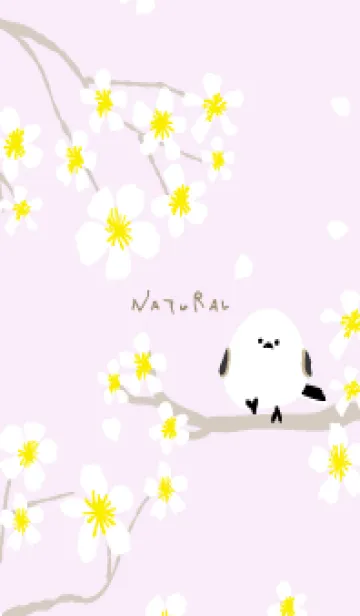 [LINE着せ替え] シマエナガ 白い花4の画像1