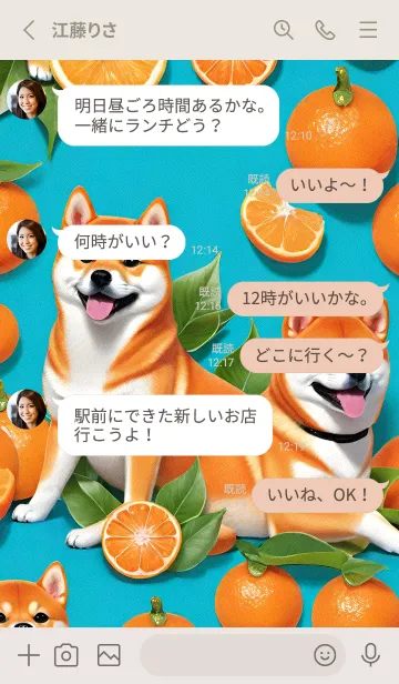 [LINE着せ替え] かわいい柴犬 mRMrIの画像3