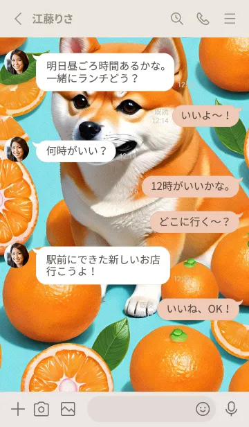 [LINE着せ替え] かわいい柴犬 fxkUIの画像3