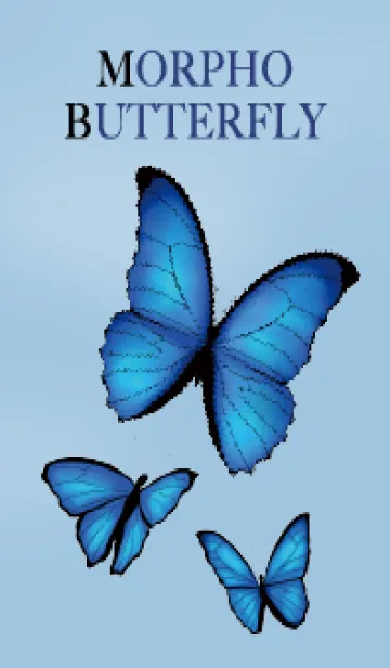 [LINE着せ替え] 青い蝶 モルフォ蝶 水色系統の画像1