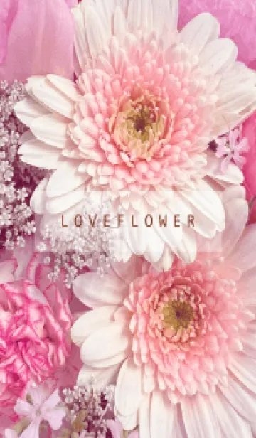 [LINE着せ替え] LOVE FLOWER-WHITE&PINK 34の画像1