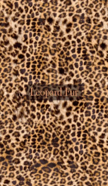 [LINE着せ替え] Leopard Fur 77の画像1