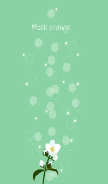 [LINE着せ替え] 4月の誕生花＊梅花空木の画像1