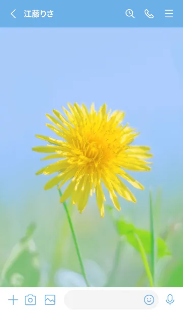 [LINE着せ替え] Dandelion Photo #1-2 Not AIの画像2