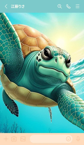 [LINE着せ替え] 海ガメと海 IRMjnの画像2