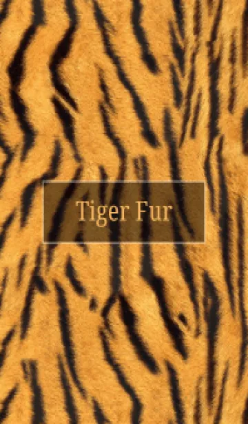 [LINE着せ替え] Tiger Fur 40の画像1