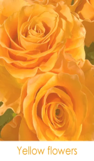 [LINE着せ替え] Yellow flowers-hisatoto 3の画像1