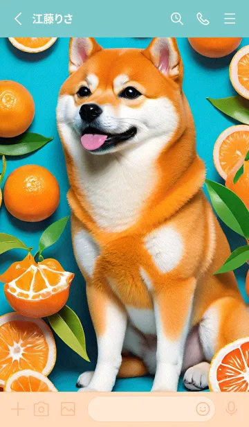 [LINE着せ替え] しばんばん cF1fBの画像2