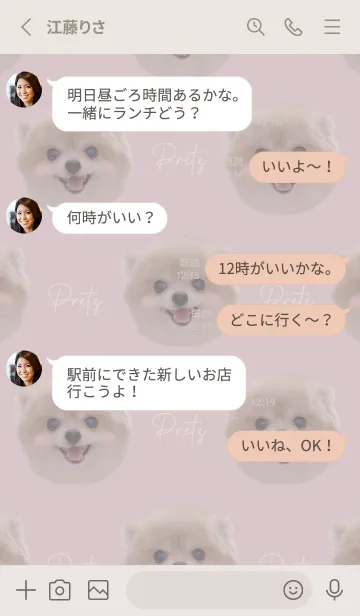 [LINE着せ替え] 保護犬 ポメラニアン プリッツ の 着せ替えの画像3