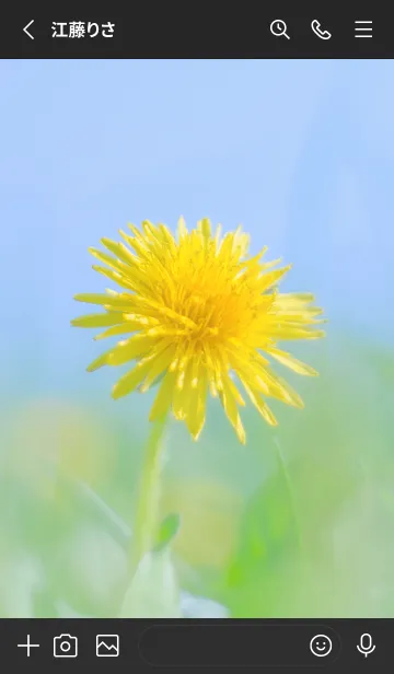 [LINE着せ替え] Dandelion Photo #3-2 Not AIの画像2