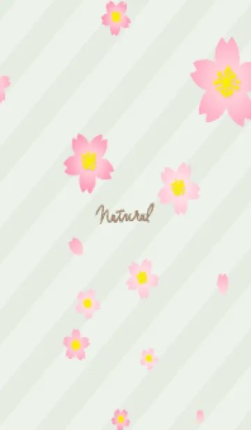 [LINE着せ替え] 桜舞う季節17の画像1