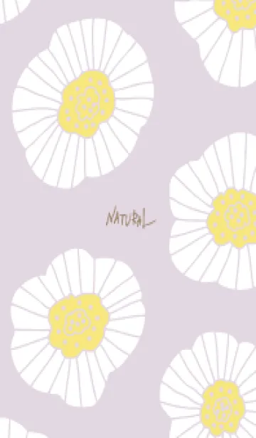 [LINE着せ替え] シンプル 白いお花 大人25の画像1