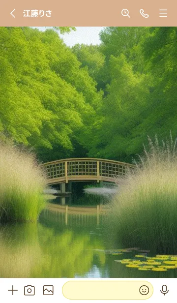 [LINE着せ替え] 春の静かな湖畔の森 ZmLk8の画像2