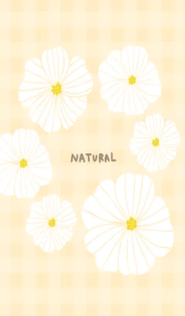 [LINE着せ替え] 6輪の白い花 チェック11の画像1
