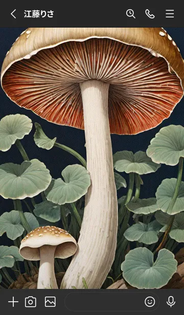 [LINE着せ替え] 浮世絵 ミャオミャオ e8F36bの画像2