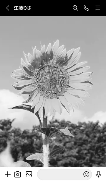 [LINE着せ替え] monochrome photograph...12の画像2