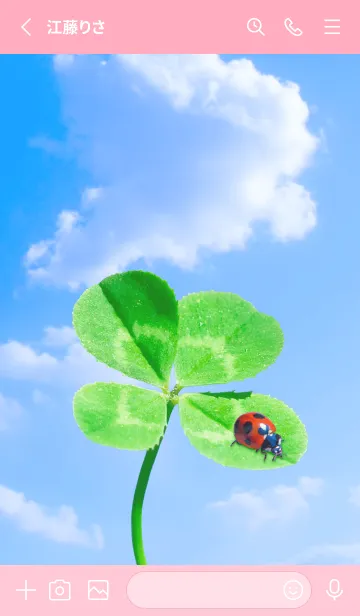 [LINE着せ替え] 本物ラッキークローバー & Ladybird #1-30の画像2