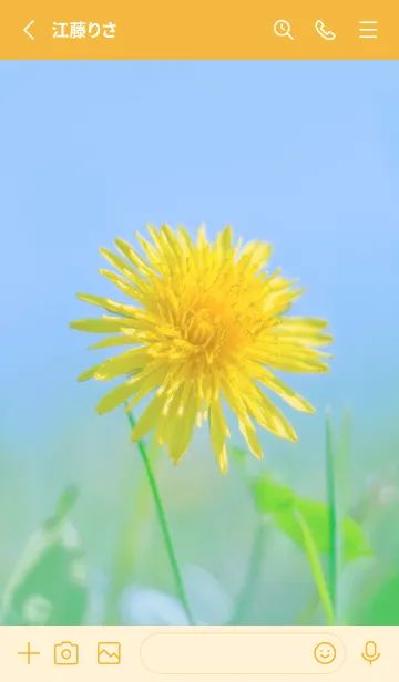 [LINE着せ替え] Dandelion Photo #1-3 Not AIの画像2