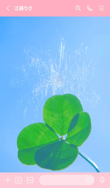 [LINE着せ替え] ケサランパサラン & Lucky clover #2-11の画像2