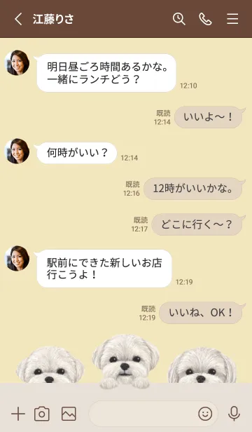 [LINE着せ替え] ワンワン- マルチーズ -クリーム イエローの画像3