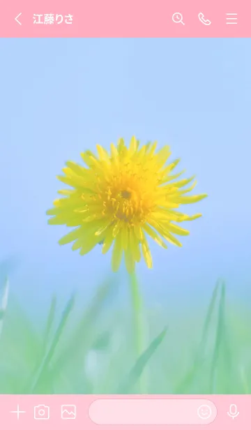 [LINE着せ替え] Dandelion Photo #2-3 Not AIの画像2