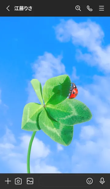 [LINE着せ替え] Real Lucky Clover & Ladybird #2-30の画像2