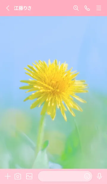 [LINE着せ替え] Dandelion Photo #3-3 Not AIの画像2