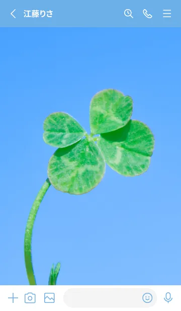 [LINE着せ替え] 四つ葉のクローバー Photo #2-3 Not AIの画像2