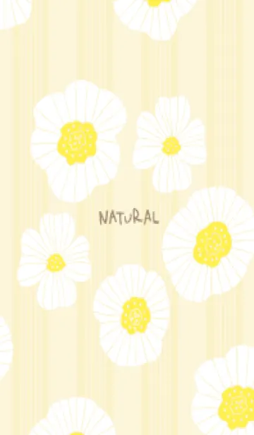 [LINE着せ替え] ストライプ 白い花14の画像1