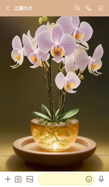 [LINE着せ替え] 蝶々 蘭 L1gu7の画像2