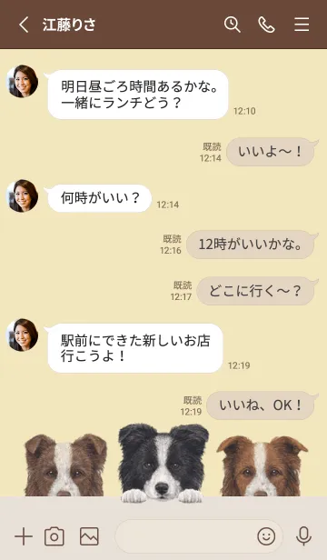 [LINE着せ替え] ボーダーコリー - クリーム イエローの画像3