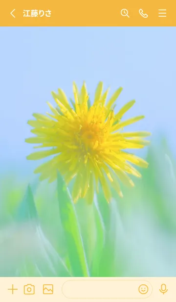 [LINE着せ替え] Dandelion Photo #4-3 Not AIの画像2