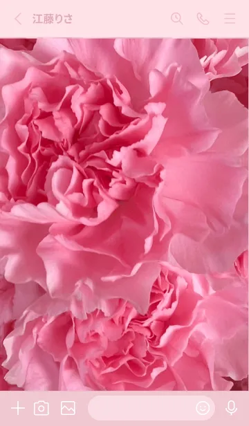 [LINE着せ替え] Carnation Flower.2の画像2