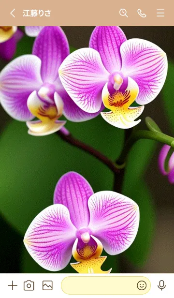 [LINE着せ替え] 蝶々 蘭 mmOMYの画像2