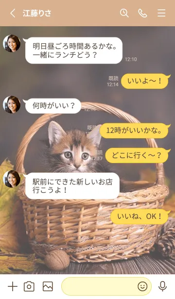 [LINE着せ替え] バスケットと猫の画像3