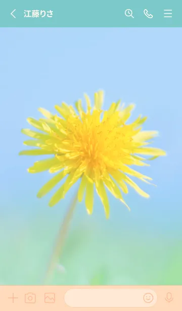 [LINE着せ替え] Dandelion Photo #5-3 Not AIの画像2